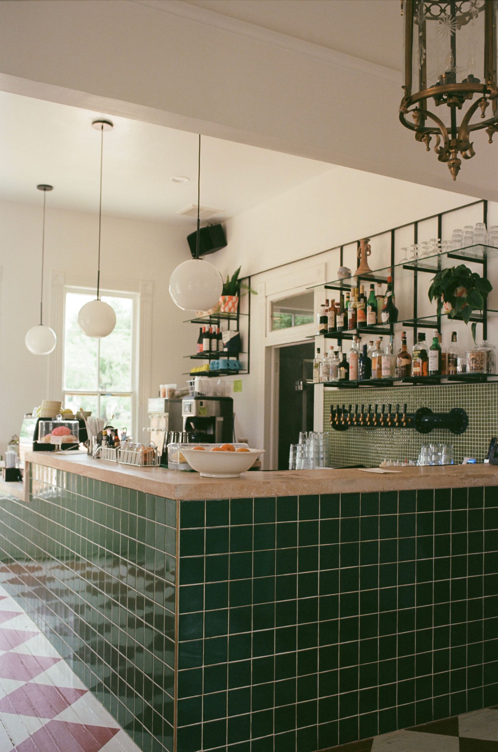 A green plant-filled corner near a cafe counter